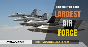 US Navy's Air Power: The World's Second Largest Air Force?