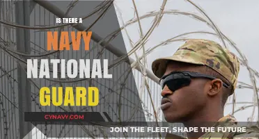 Exploring the Existence of a Navy National Guard: Facts and Insights