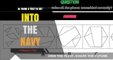 Navy Entry Requirements: Understanding the Tests and Qualifications Needed
