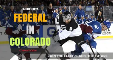 Exploring Navy Federal Credit Union's Presence in Colorado