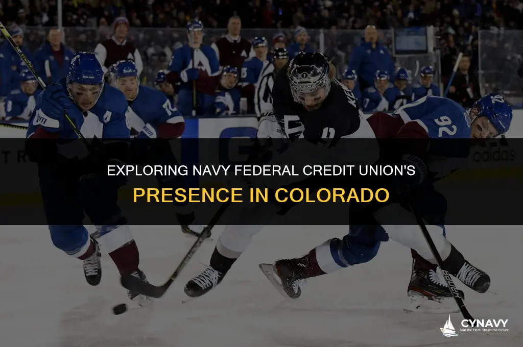 is there navy federal in colorado