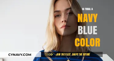 Exploring the Depths: Is Tidal Truly a Navy Blue?
