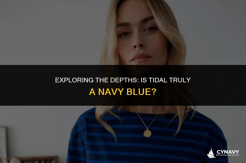 is tidal a navy blue color