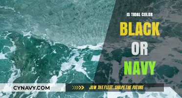 Decoding the Depths: Is Tidal Color Black or Navy?