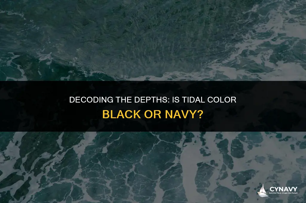 is tidal color black or navy