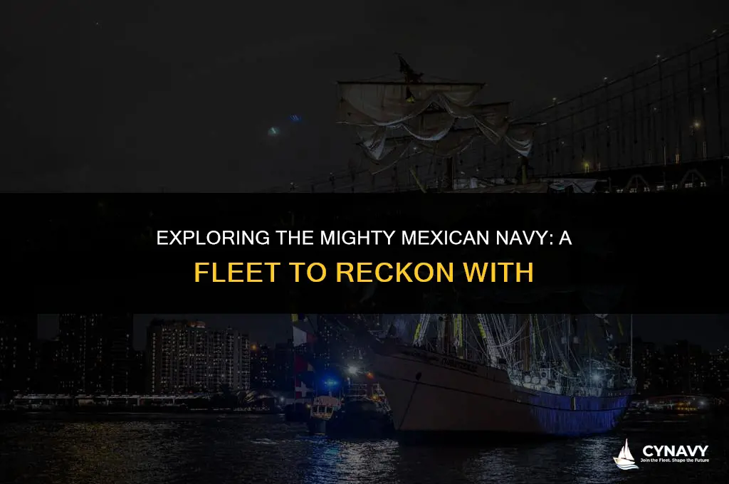 me ican navy ship
