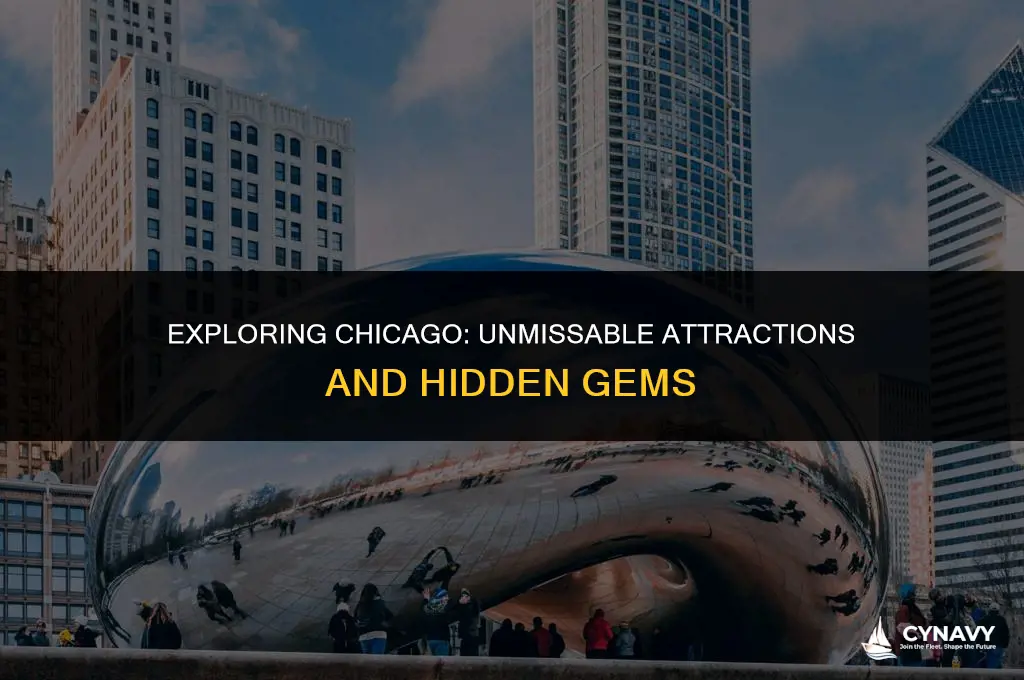 must do in chicago