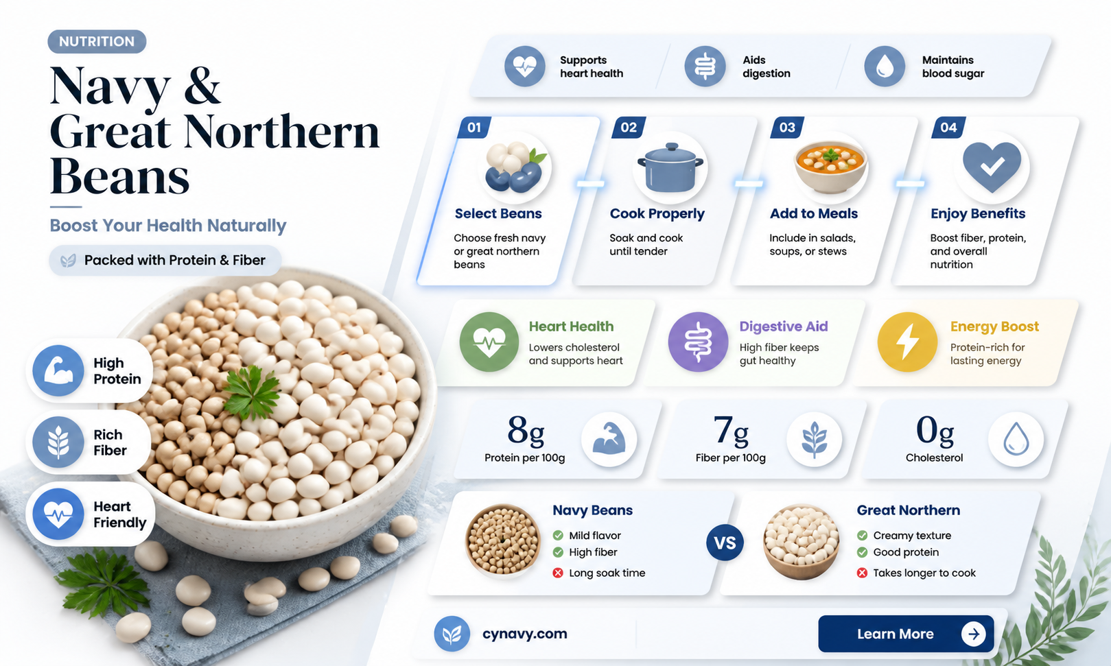 are navy and great northern beans healthy for you