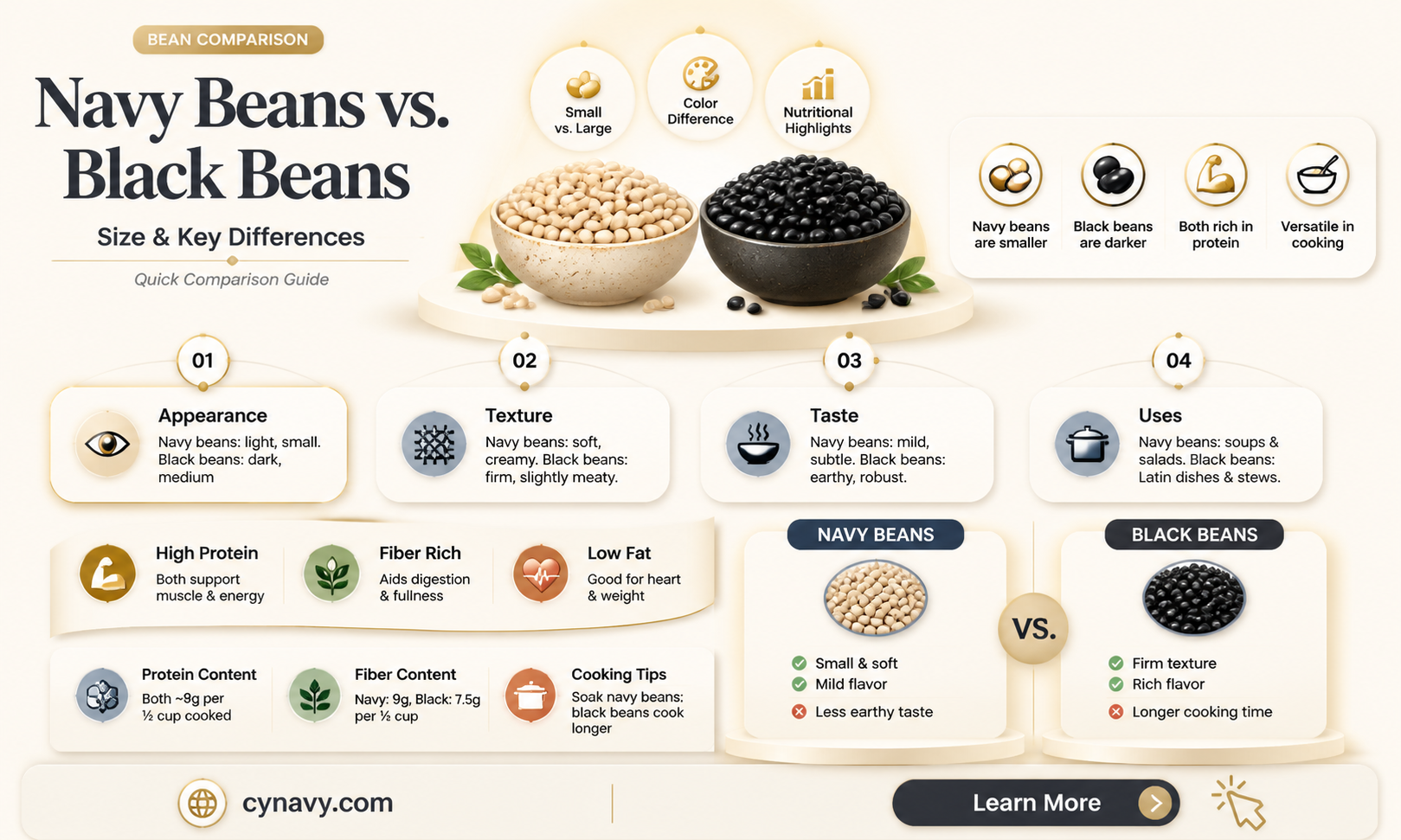 are navy beans and black beans the same size