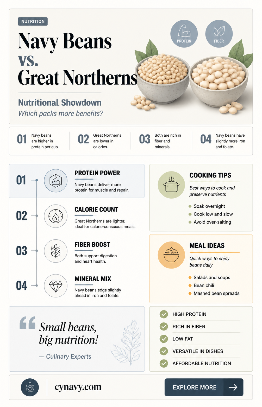 are navy beans or great northerns better in nutrition