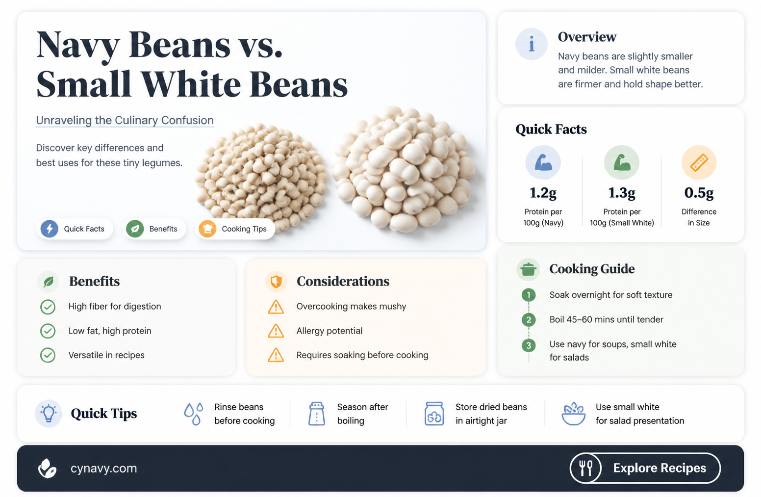 are navy beans and small white beans the same