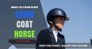 Black vs. Navy Show Coat: Which Suits Your Horse Best?