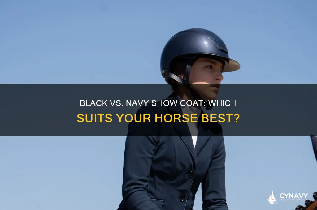 should i get a black or navy show coat horse