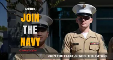 Anchors Aweigh: Weighing the Pros and Cons of a Navy Career