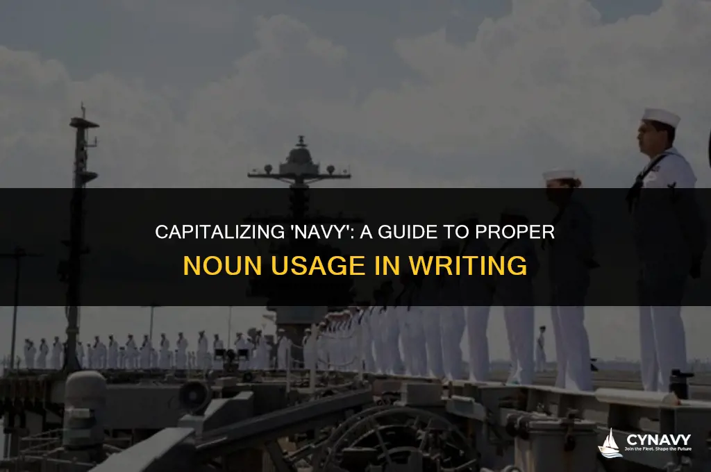 should navy be capitalized