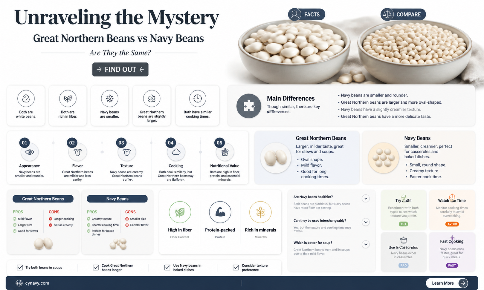 are great northern beans navy beans