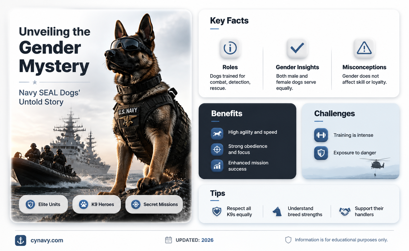 are navy seal dogs male or female
