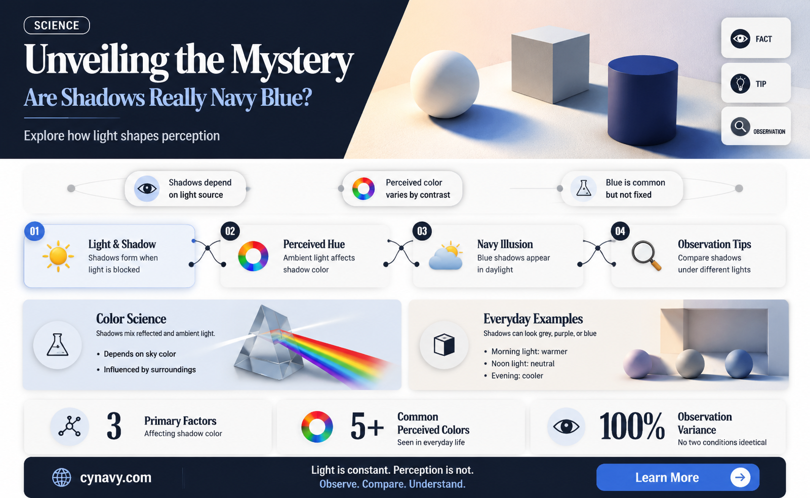 are shadows navy blue