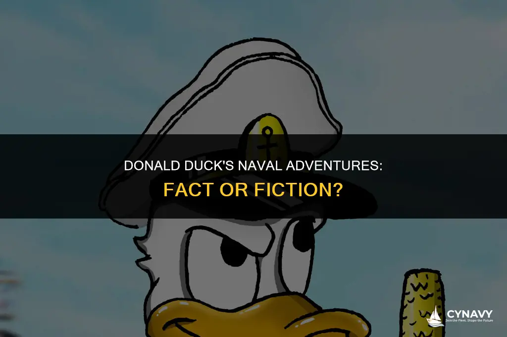 was donald duck in the navy