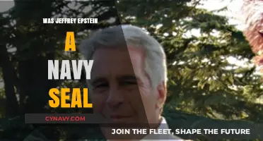 Unraveling the Truth: Jeffrey Epstein's Navy SEAL Connection