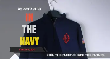 Unveiling the Truth: Jeffrey Epstein's Navy Connection Explored
