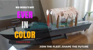 Exploring the Vibrant World of McHale's Navy: A Colorful Journey