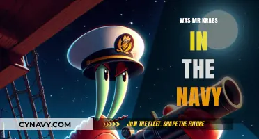 Unveiling Mr. Krabs' Past: Navy Service or Culinary Conquest?