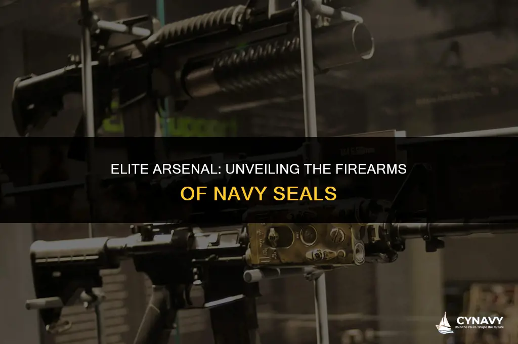what ar do navy seals use
