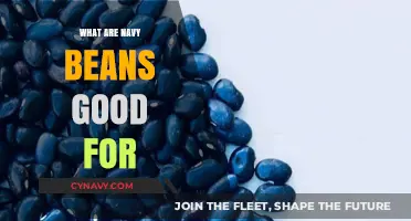 Unlocking the Health Benefits of Navy Beans: A Nutritional Powerhouse