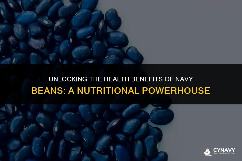 what are navy beans good for