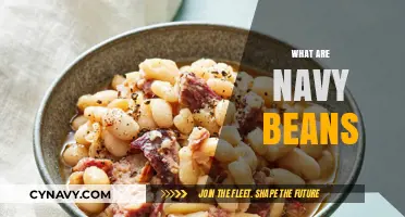 Exploring Navy Beans: A Comprehensive Guide to Nutrition and Recipes