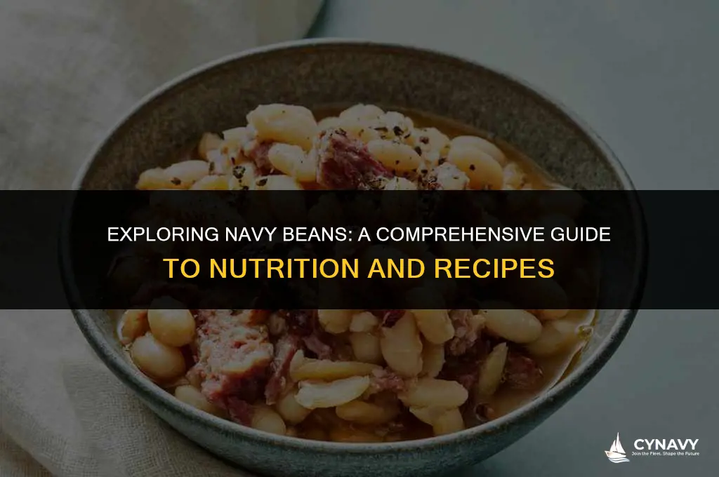 what are navy beans