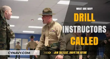 Unveiling the Elite: A Look into Navy Drill Instructors' World