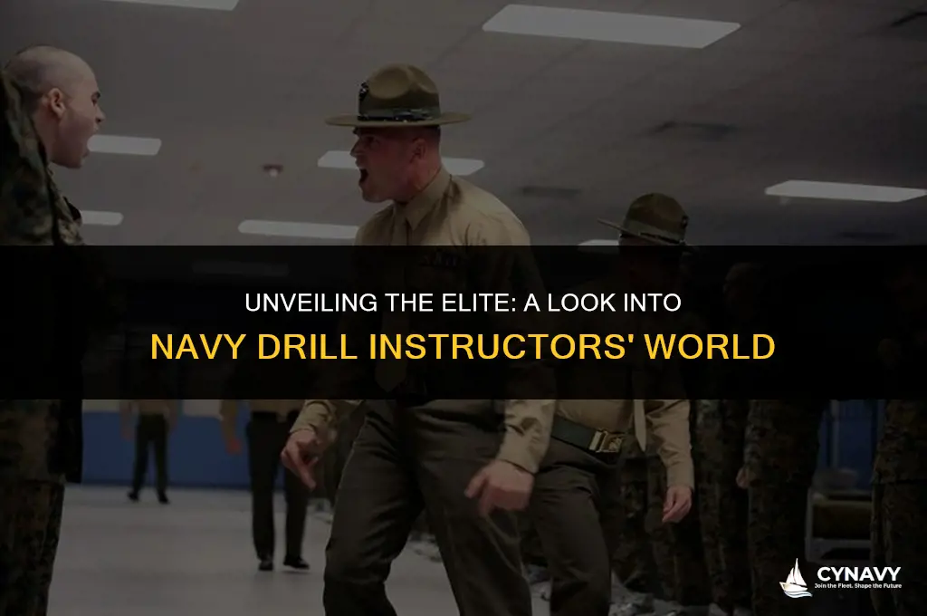what are navy drill instructors called