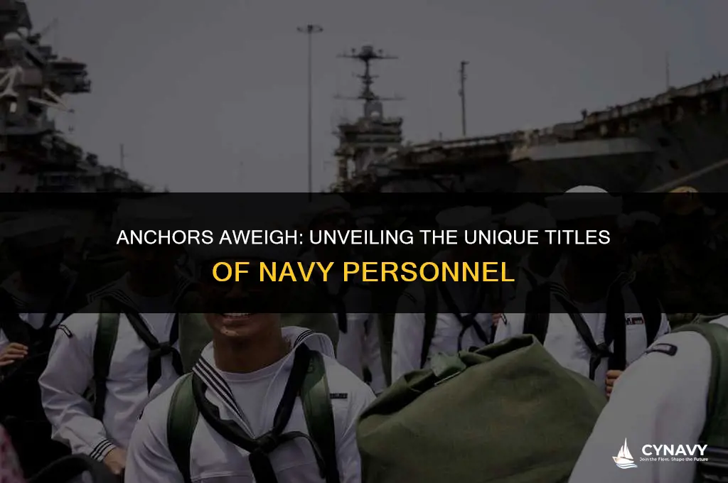 what are navy men called