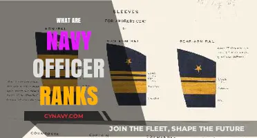 Understanding the Hierarchy: A Guide to Navy Officer Ranks