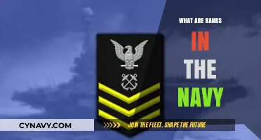 Understanding Naval Hierarchy: A Comprehensive Guide to Ranks in the Navy