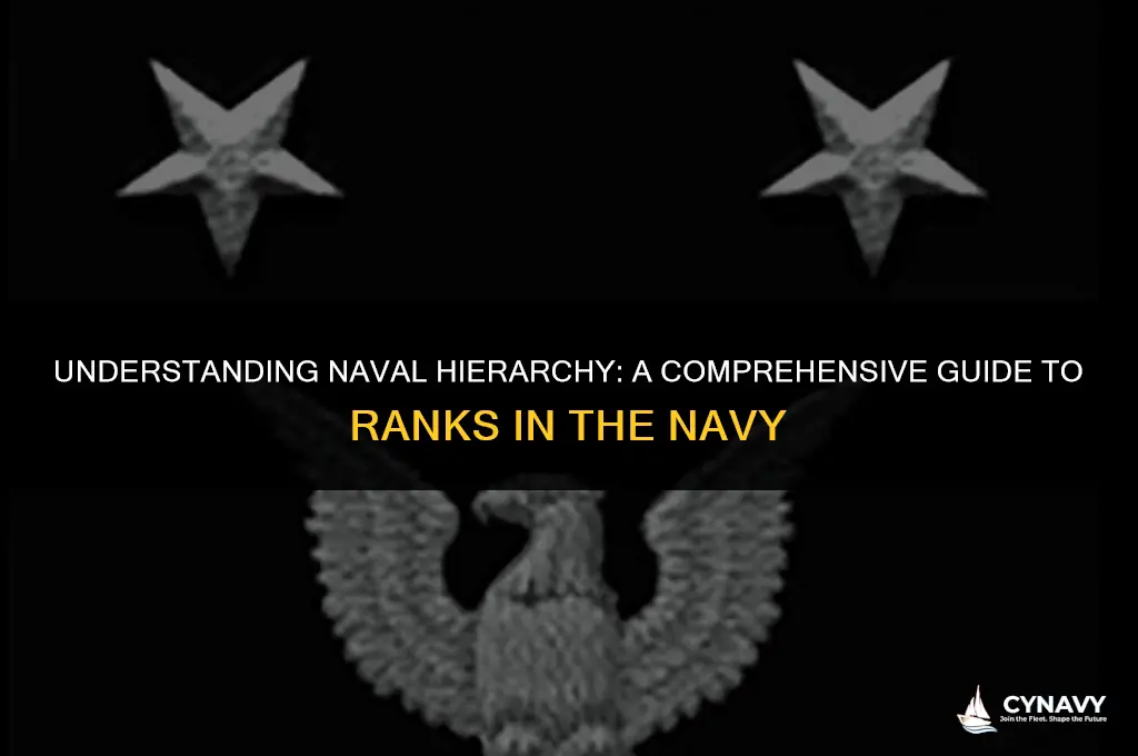 what are ranks in the navy