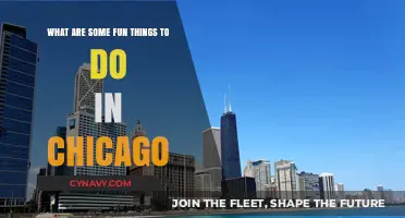 Discover Chicago's Best: Exciting Activities and Hidden Gems to Explore