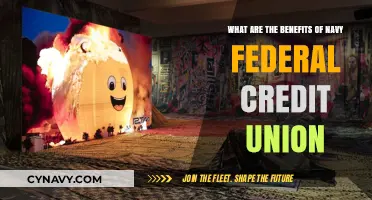 Unlocking Financial Advantages: Discover the Benefits of Navy Federal Credit Union