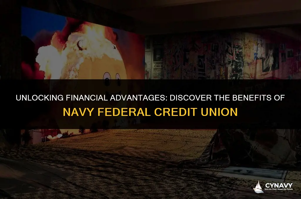 what are the benefits of navy federal credit union