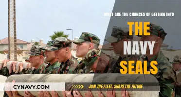 Navy SEALs Selection Odds: Realistic Chances and Requirements Explained