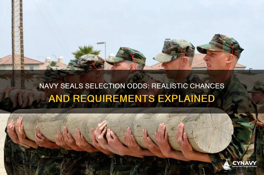 what are the chances of getting into the navy seals