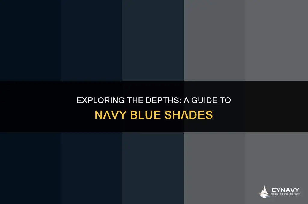 what are the colors of the navy
