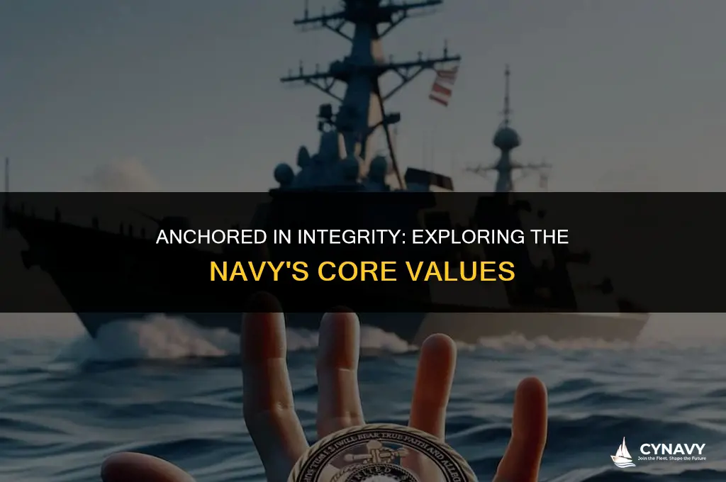 what are the navy core values