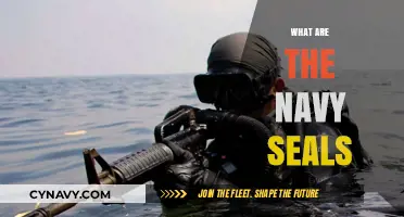 Elite Warriors of the Sea: Unveiling the Navy SEALs' World