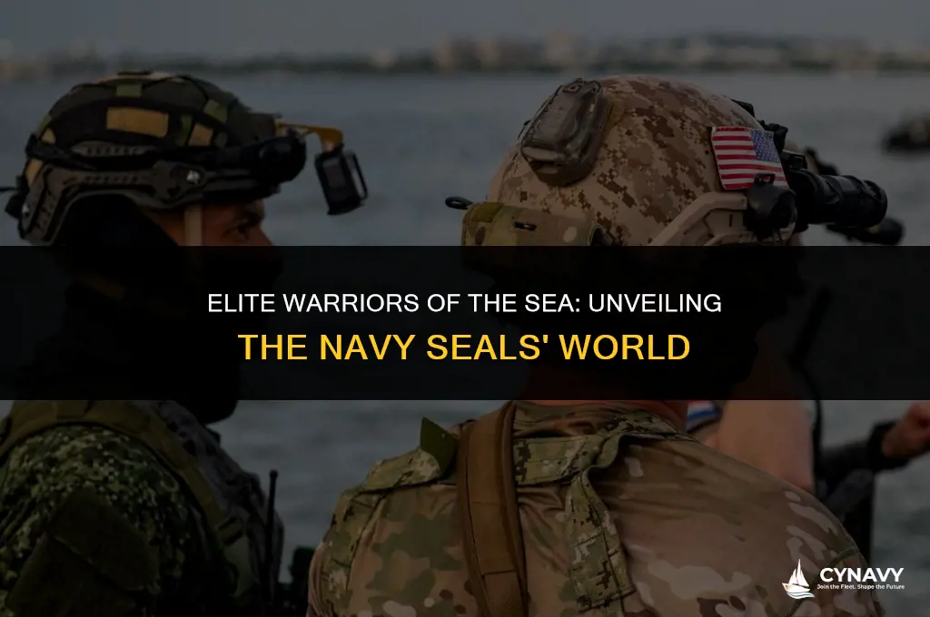 what are the navy seals