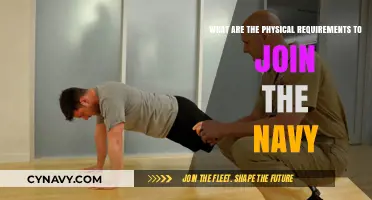 Navy Recruitment: Essential Physical Fitness Standards and Requirements Explained