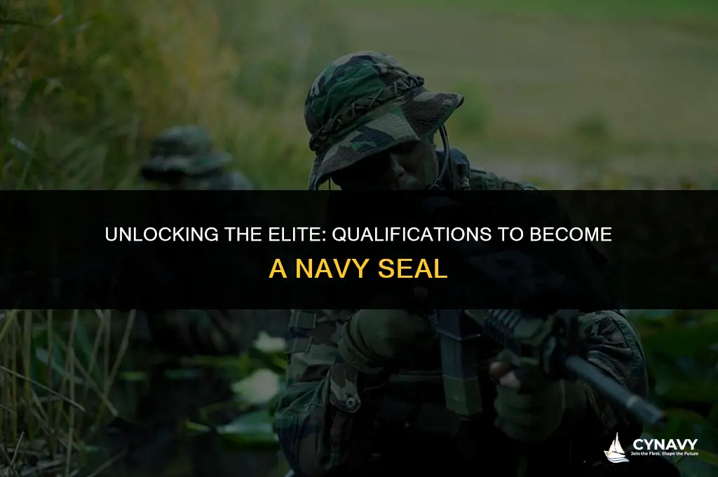what are the qualifications to be a navy seal