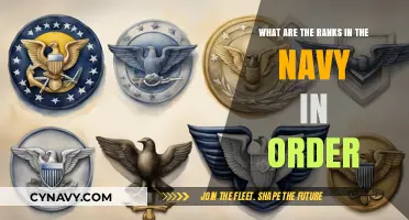 Understanding the Navy's Rank Structure: A Comprehensive Hierarchical Overview